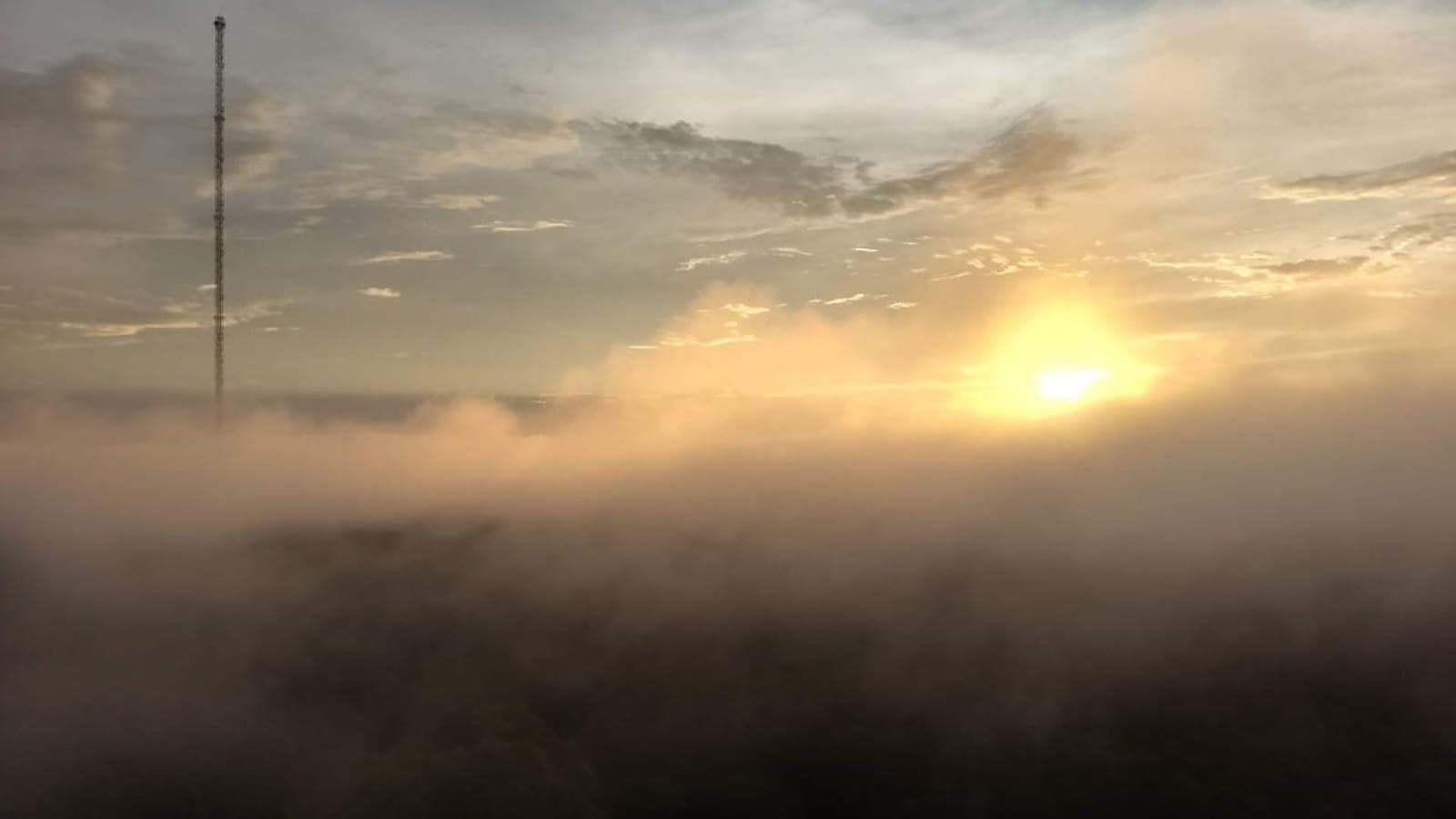 Morning fog over the Amazon rainforest in the Uatumã reserve, Amazonas