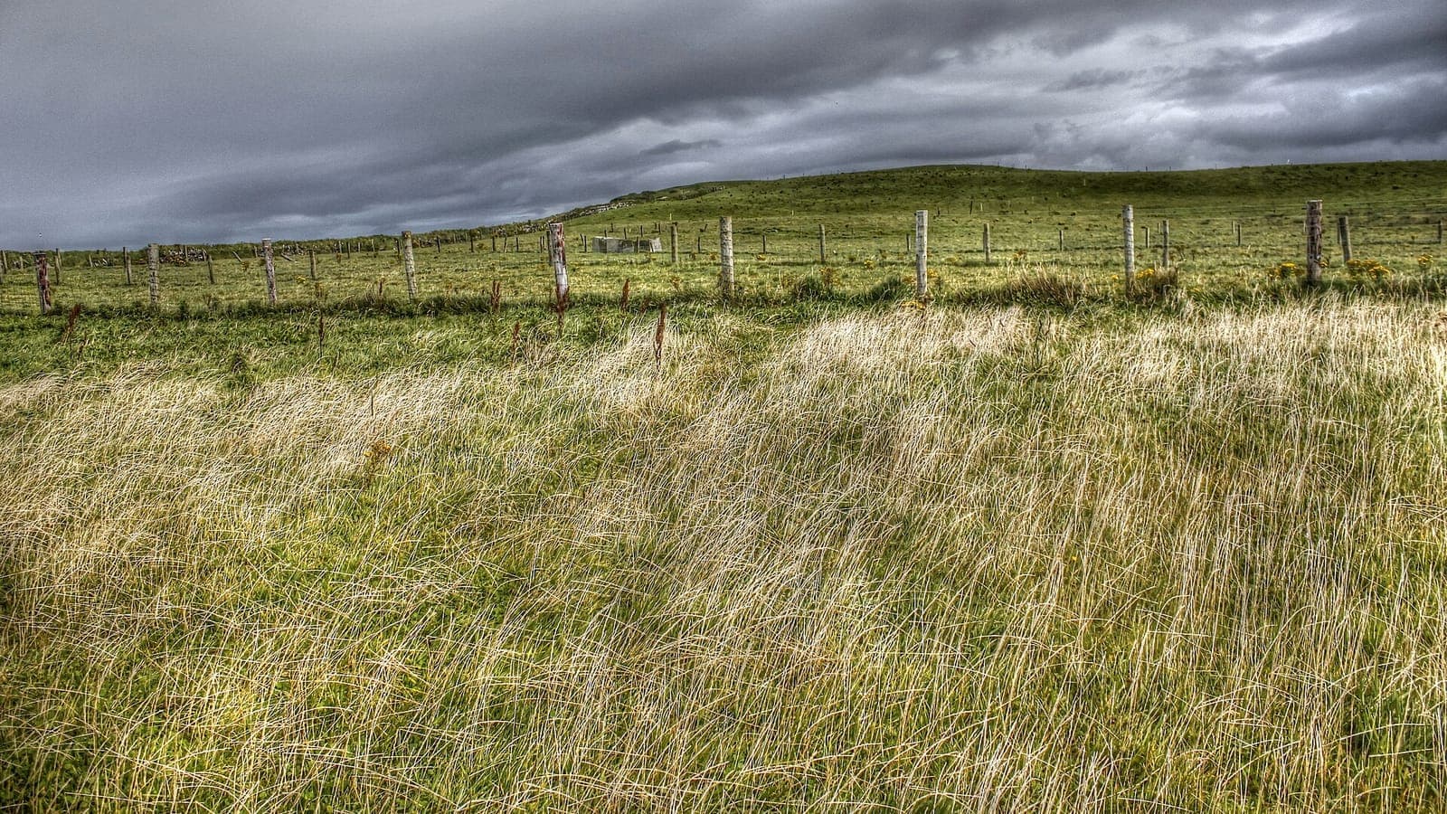 Storm clouds over grassland at the Cliffs of Moher