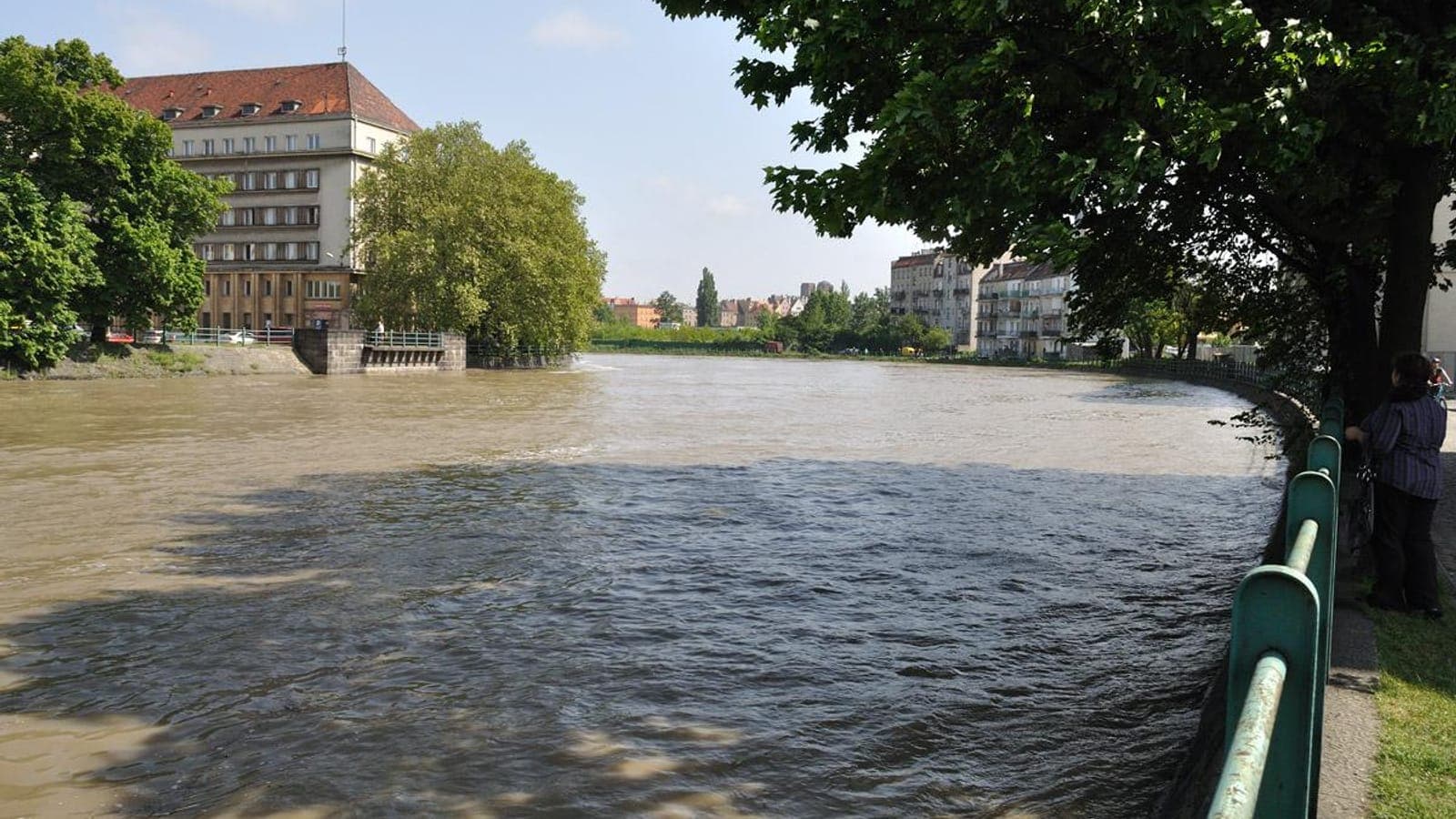 The swollen Oder (Odra) river in Wrocław
